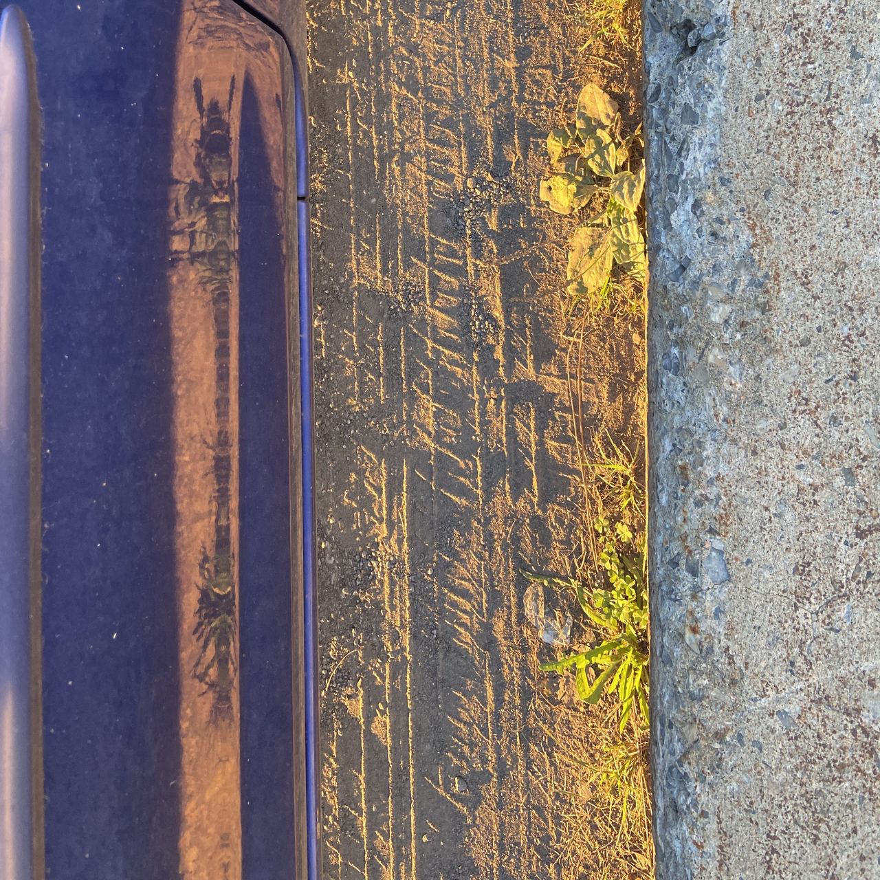 Three vertical bands of color, purple, orange yellow, gray, with corresponding textures, shiny, dusty, rocky.